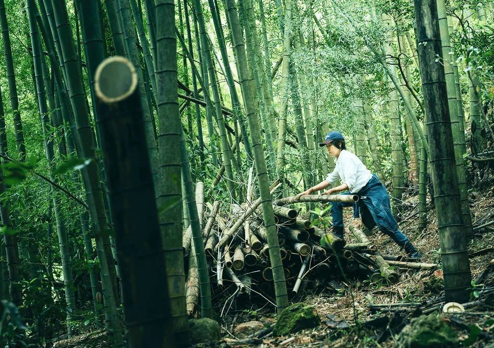 放置竹林の整備